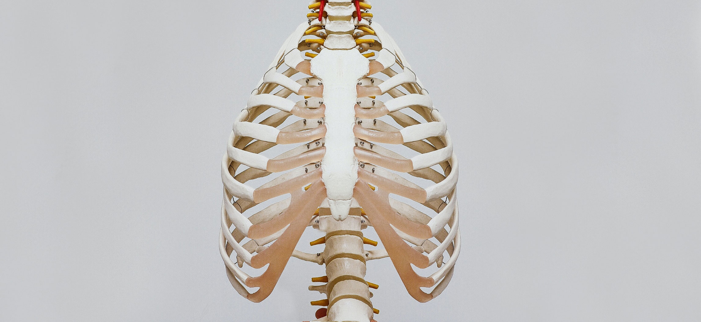 Delta Osteopathy